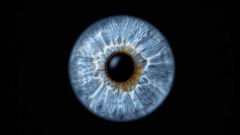 Campaign Raises Vision Health Awareness Targeting Aging Women